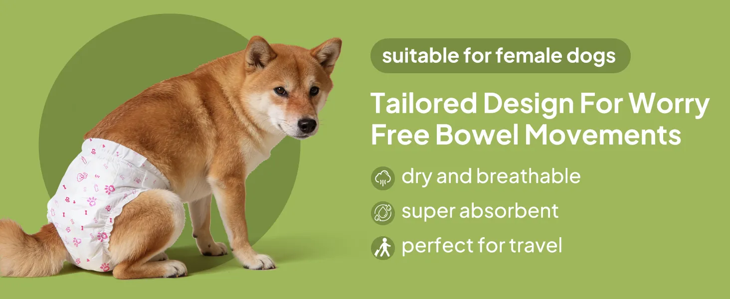 Versatile pet pee pads used on floor, inside dog potty, for outdoor activities, and in the car.