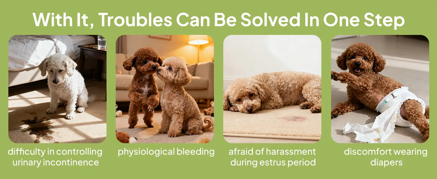 Super absorbency dog pads demonstration showing quick liquid absorption without reverse osmosis or leaking.