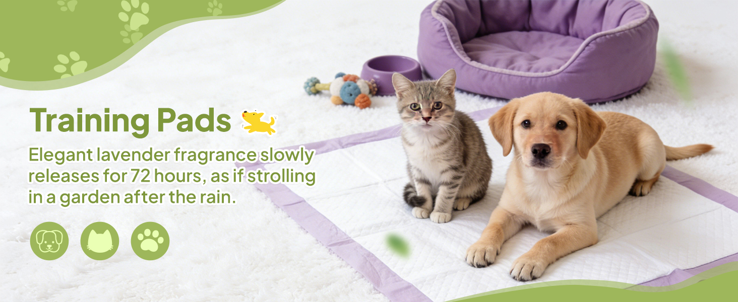 Versatile pet pee pads used on floor, inside dog potty, for outdoor activities, and in the car.